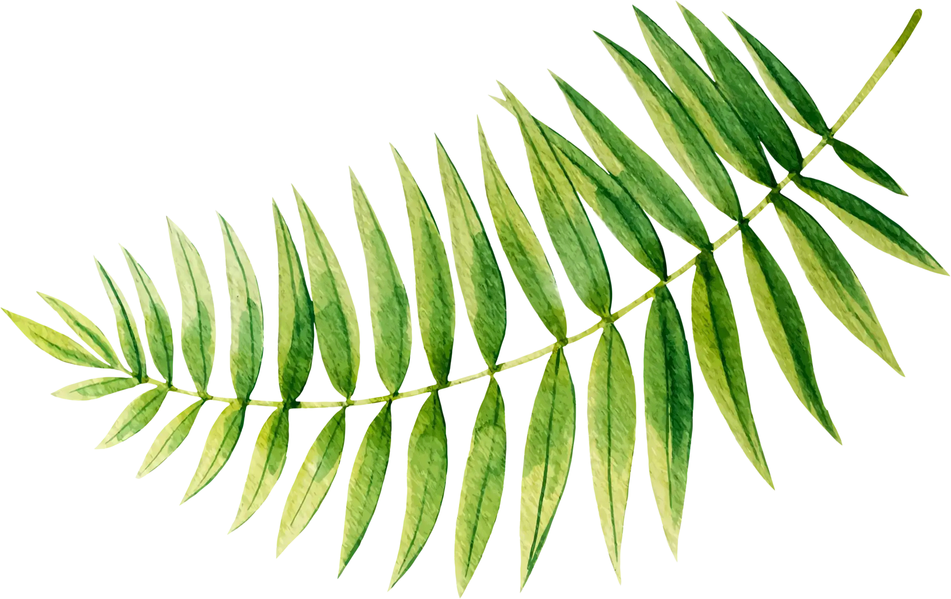 JUJU'S Traiteur eco responsable - Evénementiel partout en France